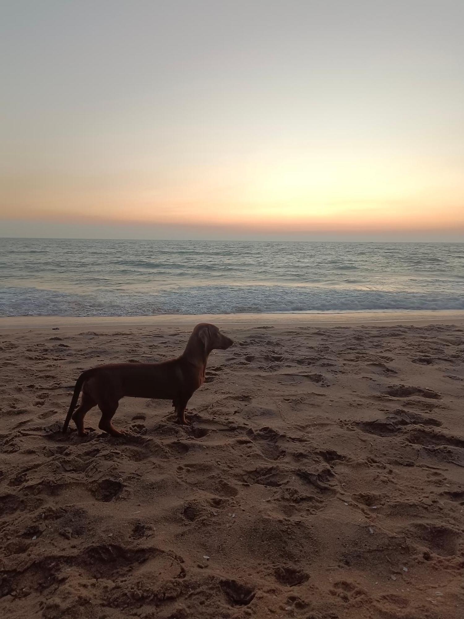 Raaga On The Beach Cananor Exterior foto